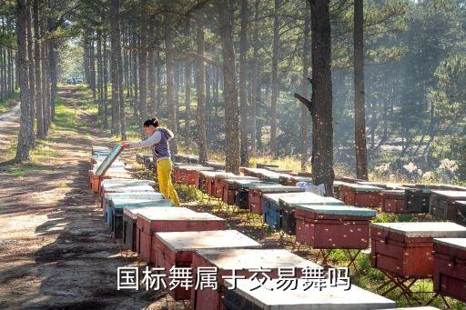 国家为什么禁止跳国标舞，跳国标为什么要把脸涂黑