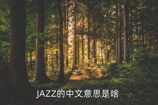 JAZZ的中文意思是啥
