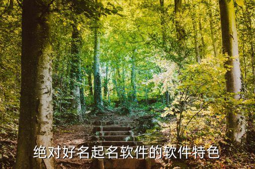 绝对好名起名软件的软件特色