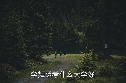 全国国标舞专业的大学排名，学国标舞哪个学校好更专业一点
