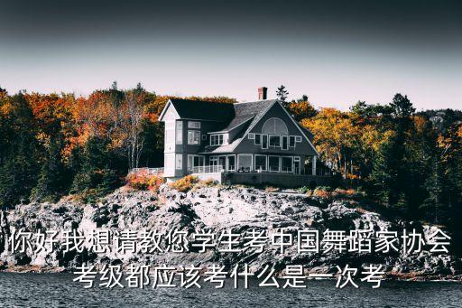 你好我想请教您学生考中国舞蹈家协会考级都应该考什么是一次考