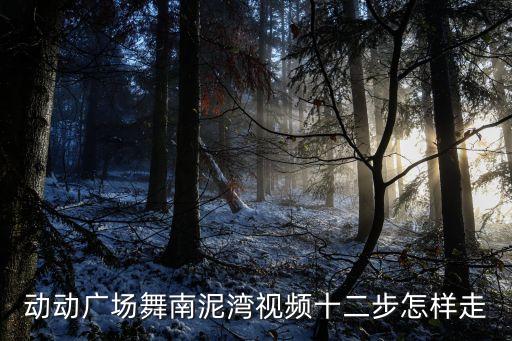 南泥湾在哪里广场舞，南泥湾是哪一个民族舞