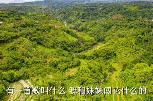 有一首歌叫什么 我和妹妹闯花什么的