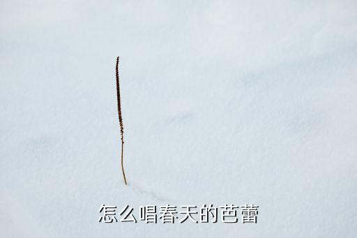春天的芭蕾舞蹈分解动作，怎么唱春天的芭蕾