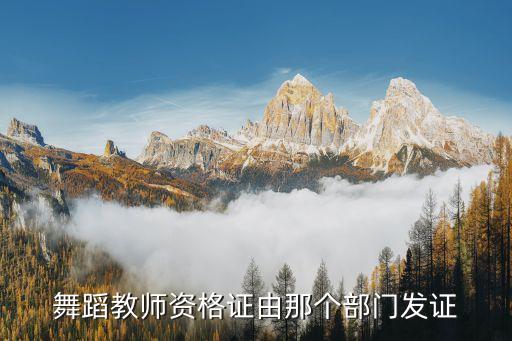 中国舞蹈教师资格证，舞蹈教师资格怎么报考都考什么内容 有什么要求 有什么可以学习