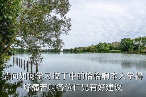 请问如何学习拉丁中的恰恰啊本人学得好痛苦啊各位仁兄有好建议