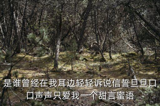 是谁曾经在我耳边轻轻诉说信誓旦旦口口声声只爱我一个甜言蜜语
