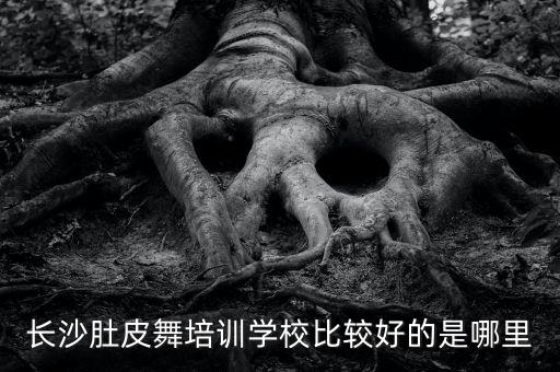 长沙肚皮舞培训学校比较好的是哪里
