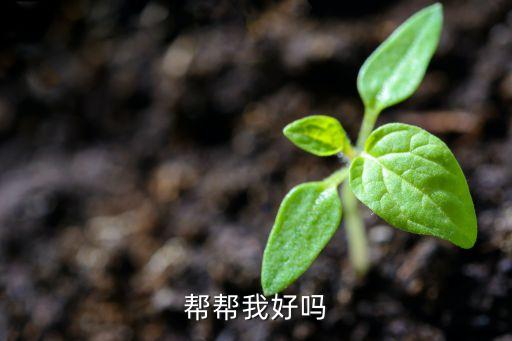帮帮我好吗