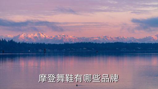 什么牌子的舞蹈鞋，形体舞蹈鞋什么牌子好