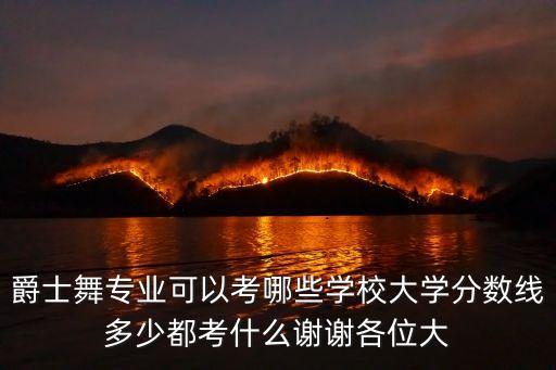 爵士舞专业可以考哪些学校大学分数线多少都考什么谢谢各位大