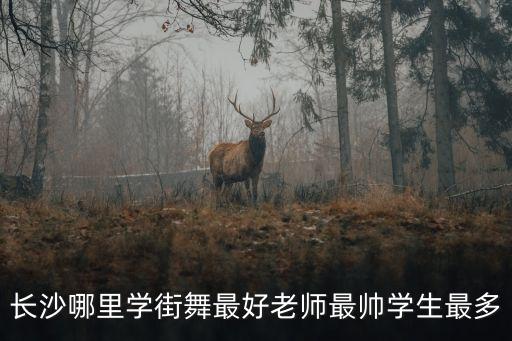 长沙舞蹈培训机构排名前十，长沙哪里学街舞最好老师最帅学生最多