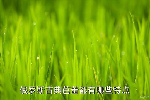 俄罗斯古典芭蕾都有哪些特点