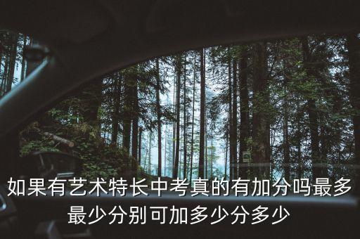 播音主持考到几级中考加分，每年枣庄中考的播音主持加分吗如果加能够加多少分另外请告诉