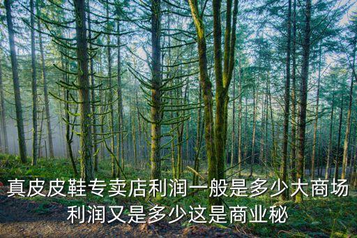 广场舞鞋专卖店 真皮，真皮皮鞋专卖店利润一般是多少大商场利润又是多少这是商业秘