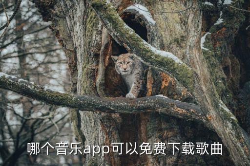 哪个音乐app可以免费下载歌曲