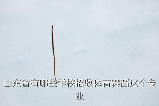 山东舞蹈类大学名单最新，山东省有哪些学校招收体育舞蹈这个专业
