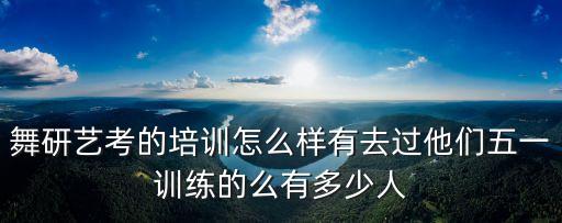 舞研艺考的培训怎么样有去过他们五一训练的么有多少人