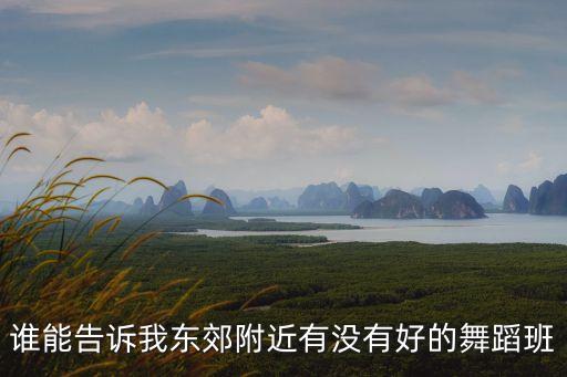 附近有小孩舞蹈培训班，谁能告诉我东郊附近有没有好的舞蹈班