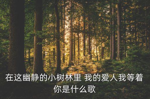 在这幽静的小树林里 我的爱人我等着你是什么歌