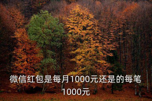微信红包是每月1000元还是的每笔1000元