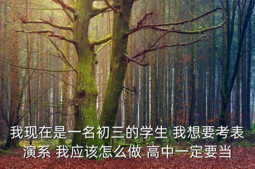 我现在是一名初三的学生 我想要考表演系 我应该怎么做 高中一定要当