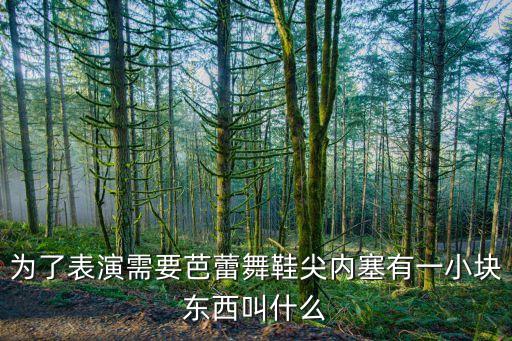 为了表演需要芭蕾舞鞋尖内塞有一小块东西叫什么