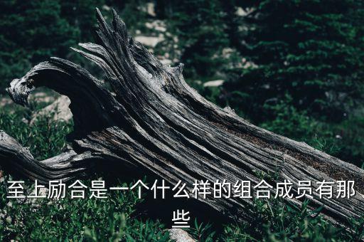 山东舞是什么意思是什么，劲舞流行语