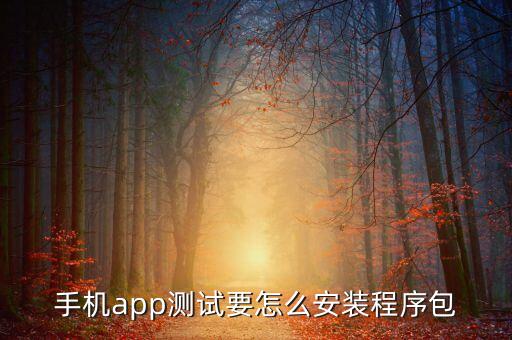 手机app测试要怎么安装程序包
