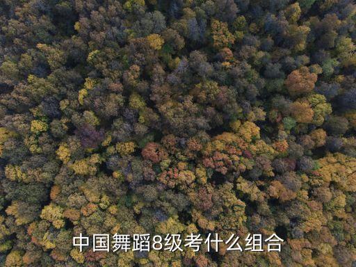 中国舞蹈8级考什么组合