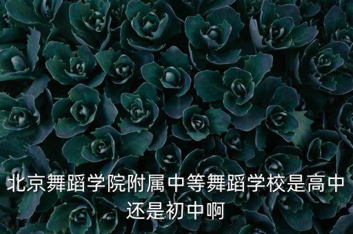 北京舞蹈学院附属中等舞蹈学校是高中还是初中啊