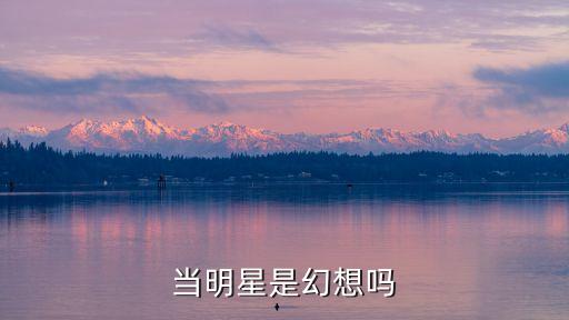 当明星是幻想吗