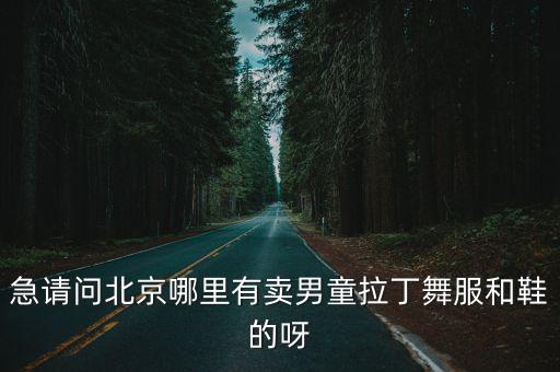 急请问北京哪里有卖男童拉丁舞服和鞋的呀