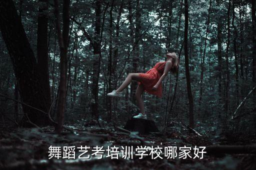 舞蹈艺考培训学校哪家好