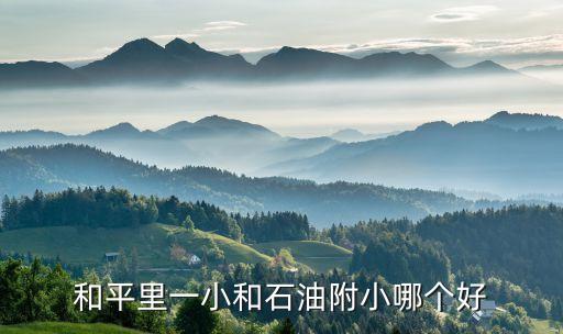 和平里一小和石油附小哪个好