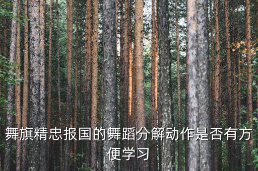 舞旗精忠报国的舞蹈分解动作是否有方便学习