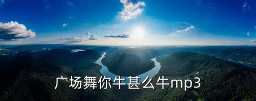 广场舞你牛甚么牛mp3