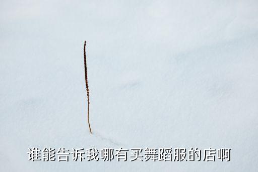 谁能告诉我哪有买舞蹈服的店啊