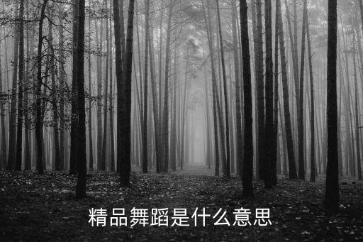 精品舞蹈是什么意思
