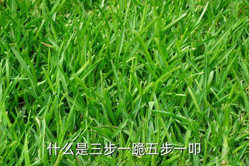 朝圣的动作叫什么，什么是三步一跪五步一叩