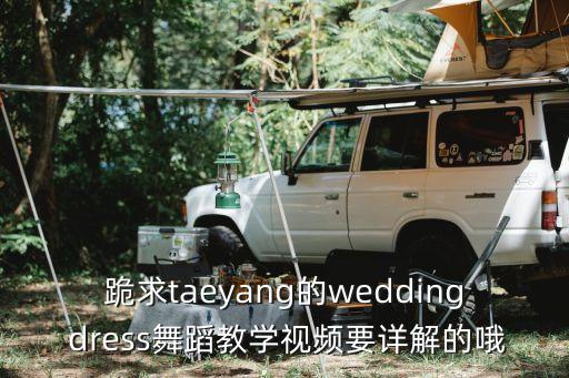 跪求taeyang的wedding dress舞蹈教学视频要详解的哦