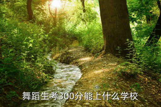 舞蹈生考300分能上什么学校