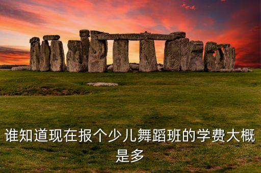 谁知道现在报个少儿舞蹈班的学费大概是多