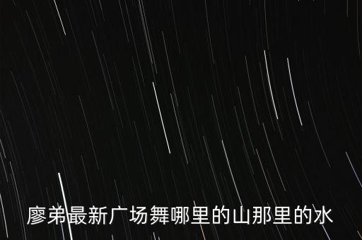 廖弟最新广场舞哪里的山那里的水