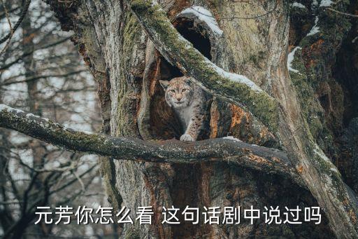 元芳你怎么看视频，元芳你怎么看 这句话剧中说过吗