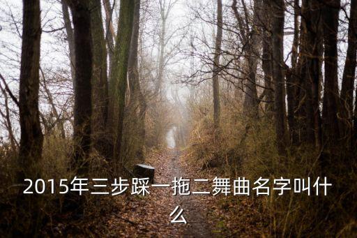 2015年三步踩一拖二舞曲名字叫什么