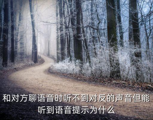 反亲爱的为什么不能听，亲爱的为什么不可以不思念