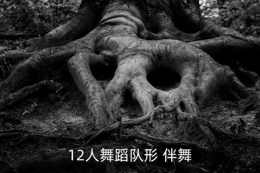 12人舞蹈队形 伴舞