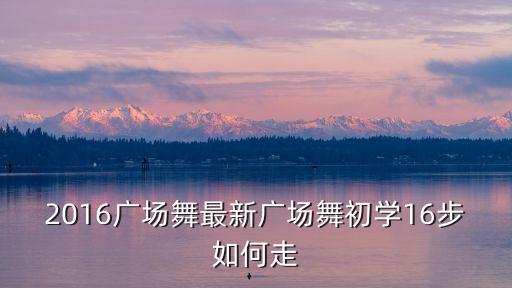 16步舞蹈教学视频，2016广场舞最新广场舞初学16步如何走