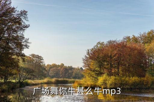 广场舞你牛甚么牛mp3